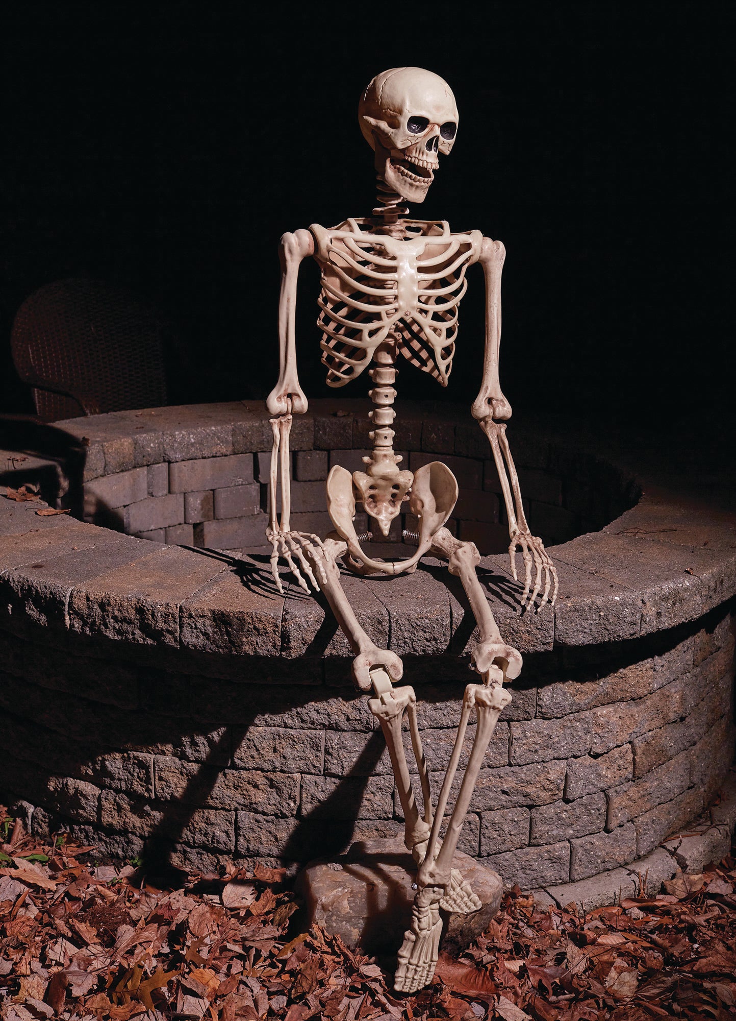 Poseable Articulated Skeleton