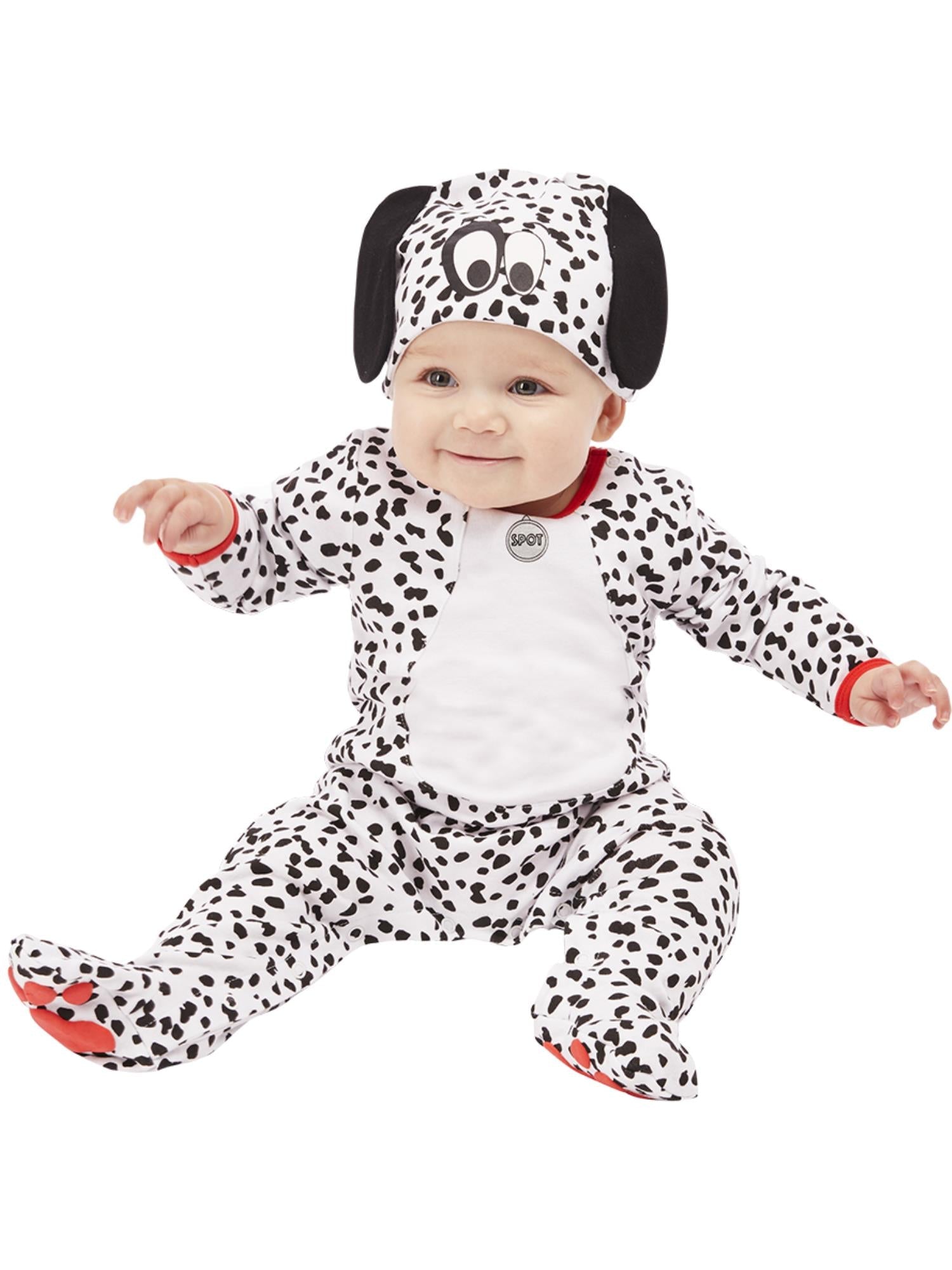 Dalmatian Baby
