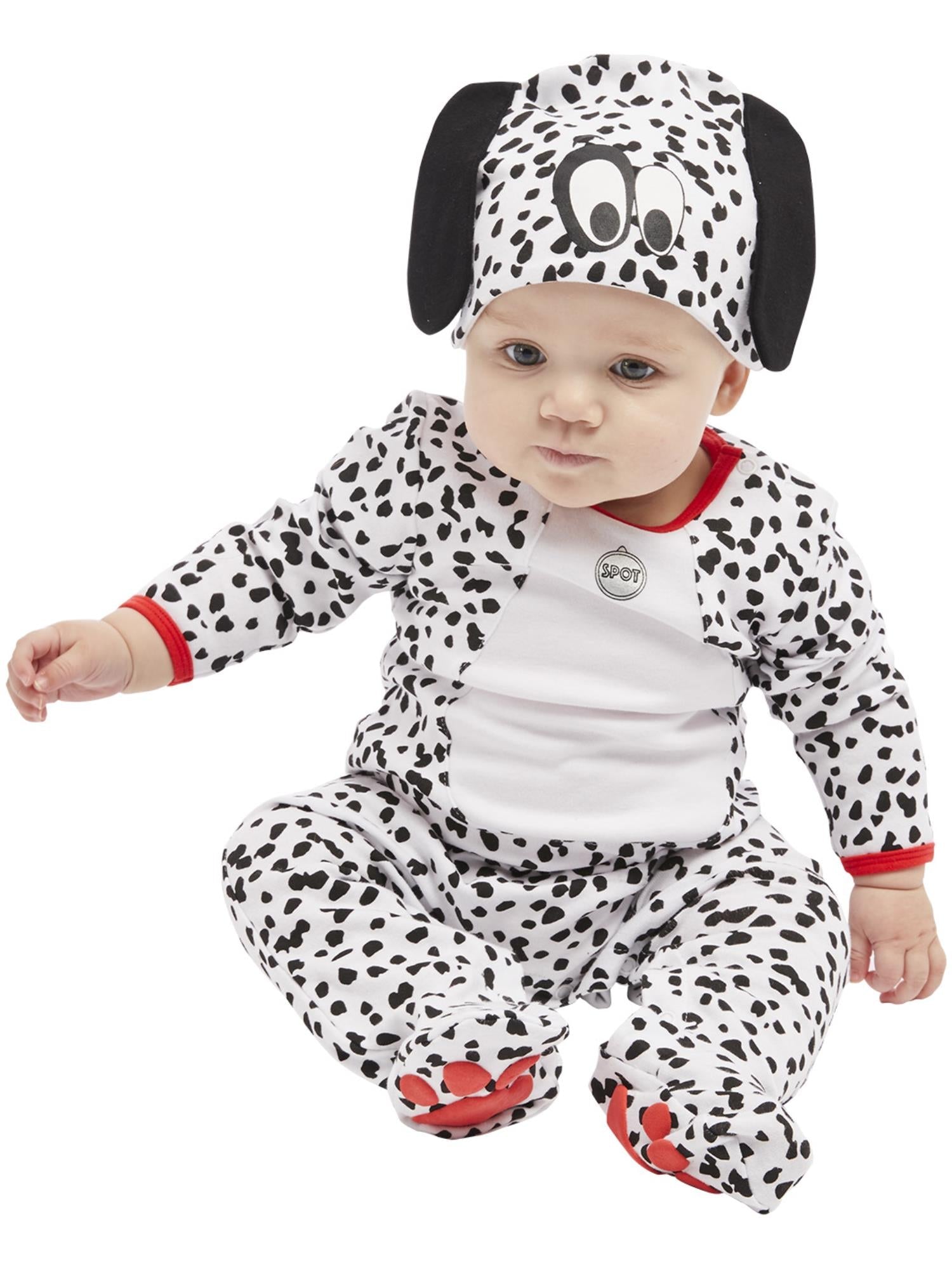 Dalmatian Baby