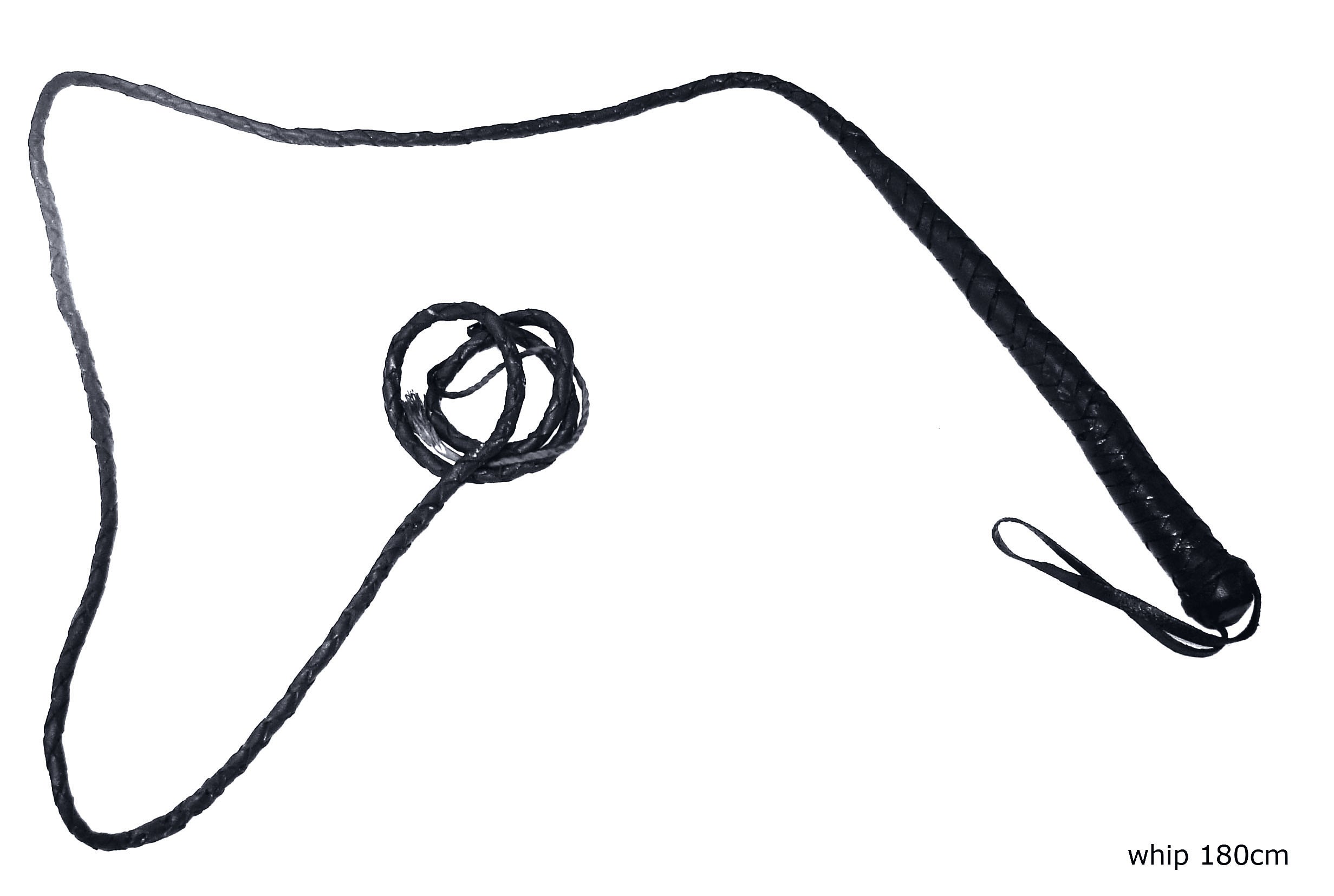 Black Whip (180cm)