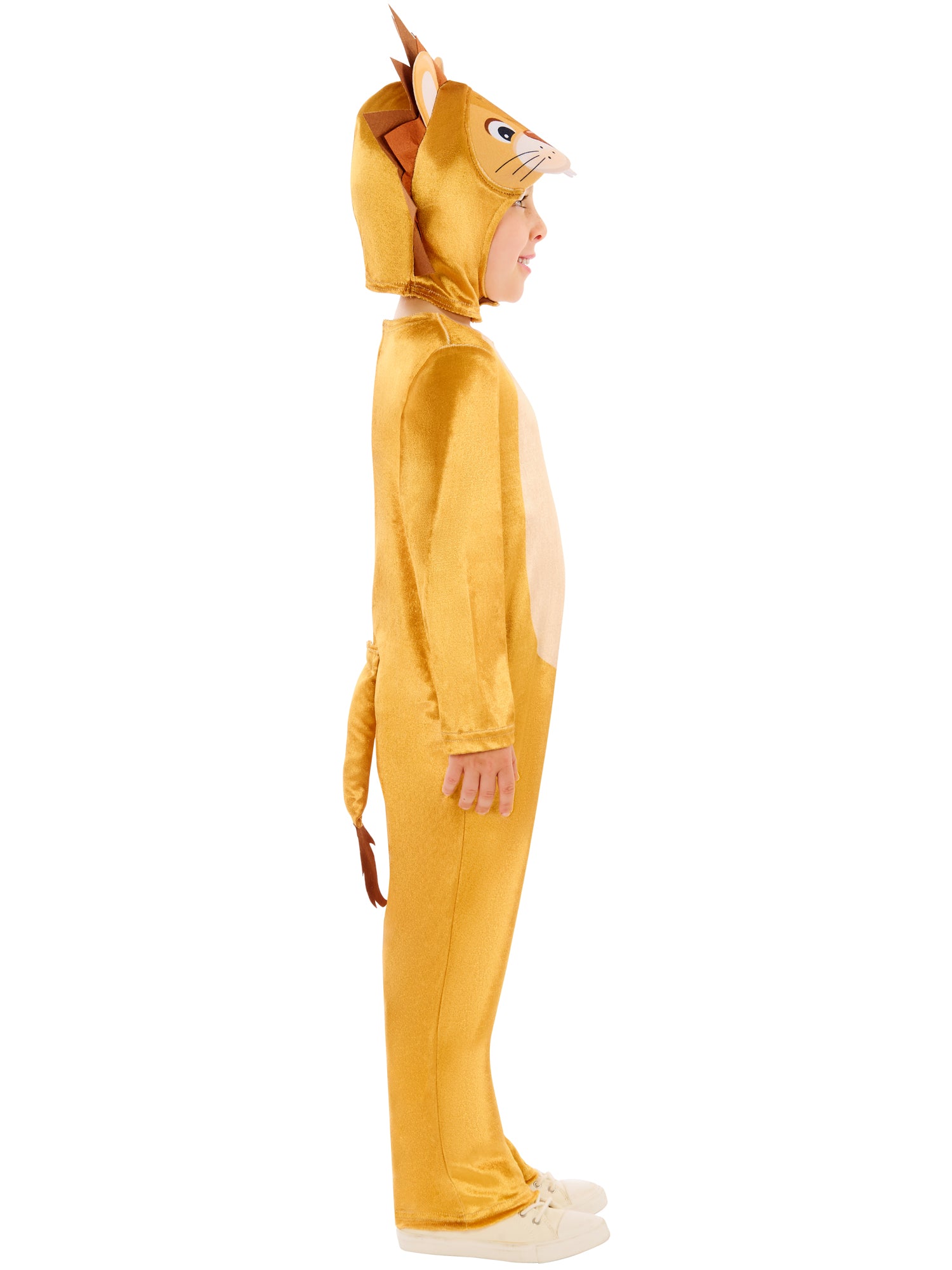 Lion Costume