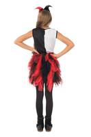 Harlequin With Tutu