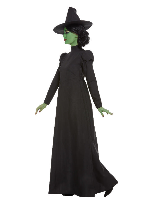 Wicked Witch Costume Adult, Black