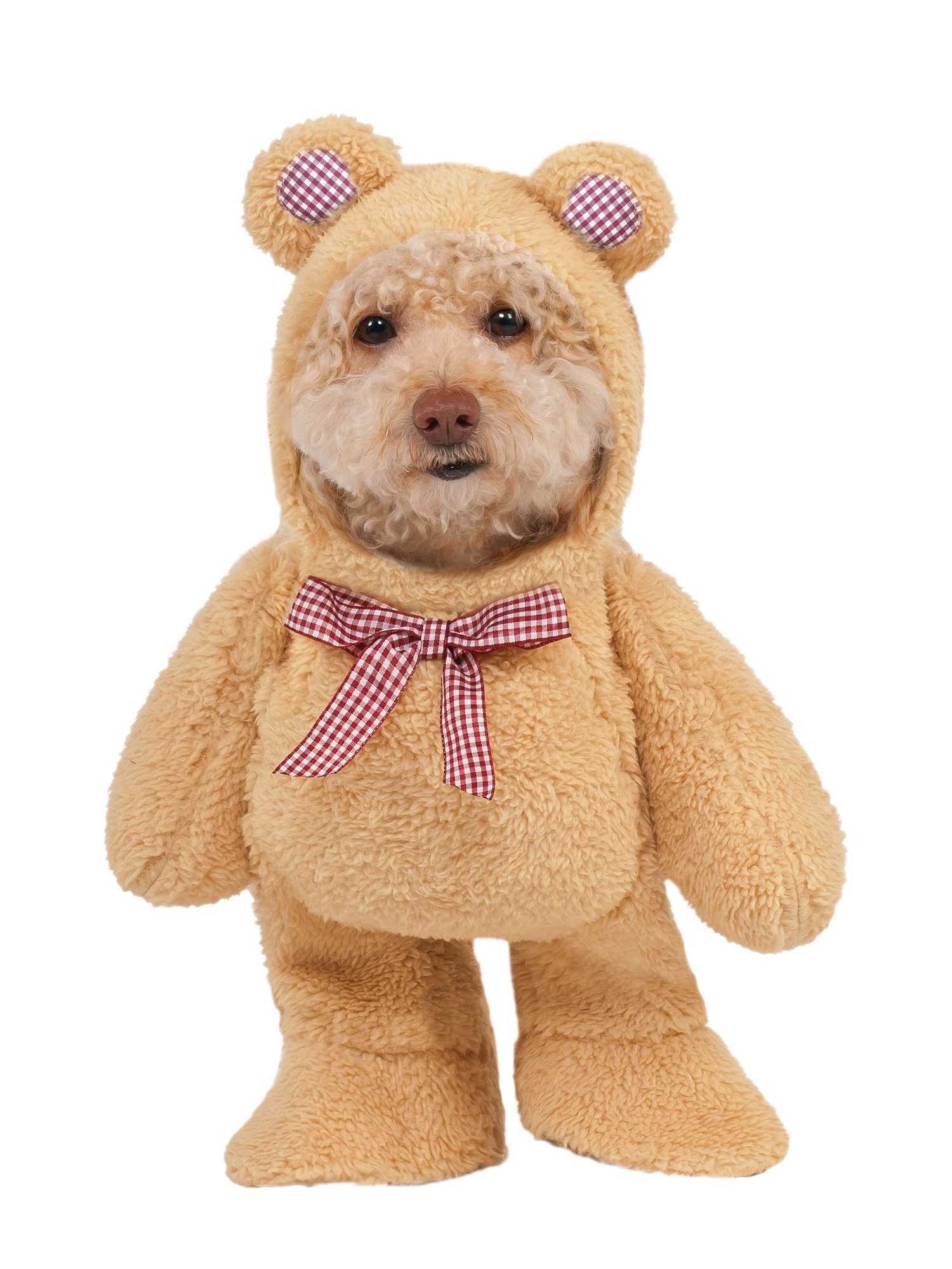 Walking Teddy Bear Pet Costume