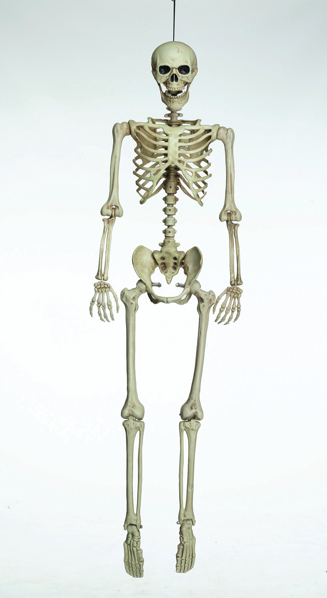 Poseable Articulated Skeleton