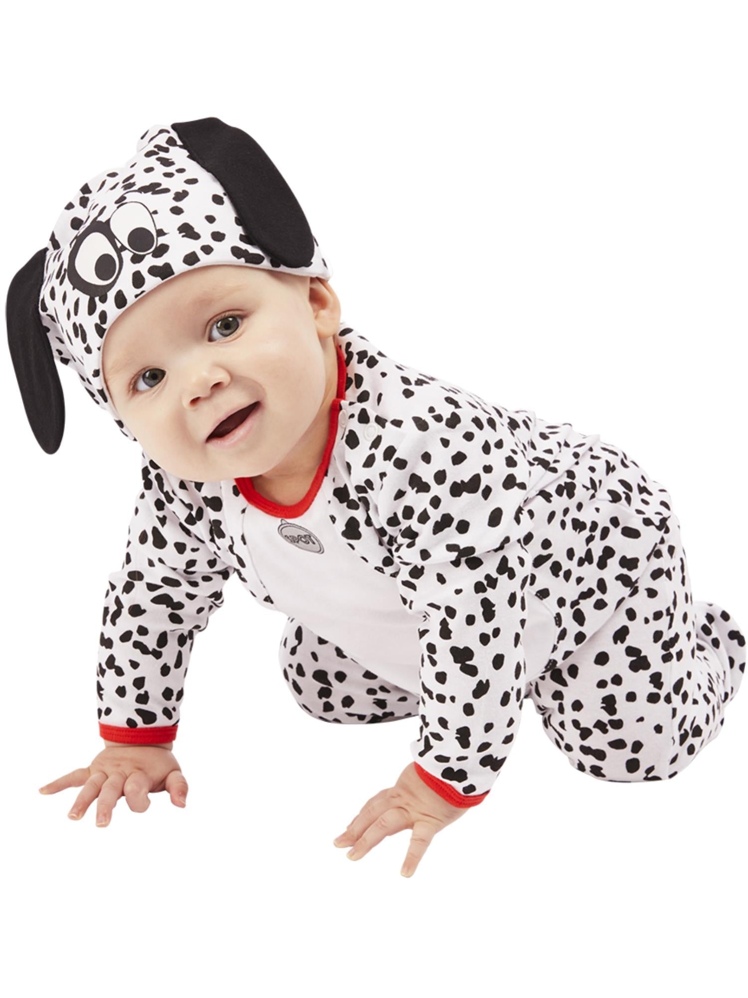 Dalmatian Baby