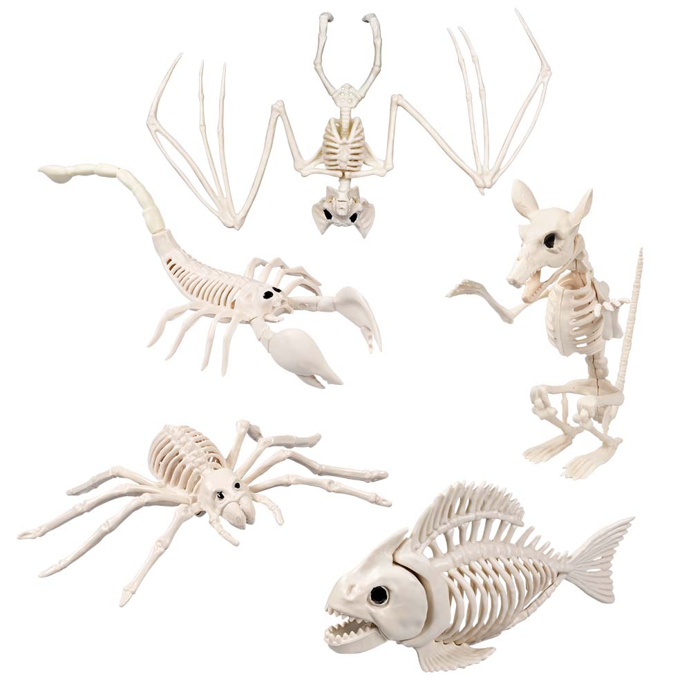 Skeleton Creatures