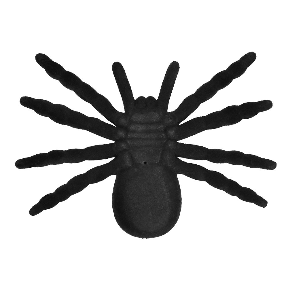 Spider Tarantula