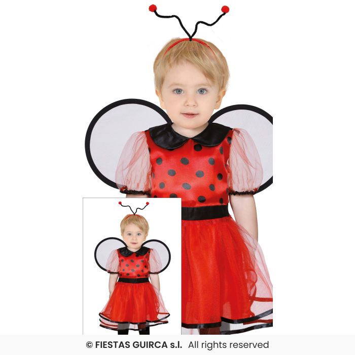 Lil Bug Baby