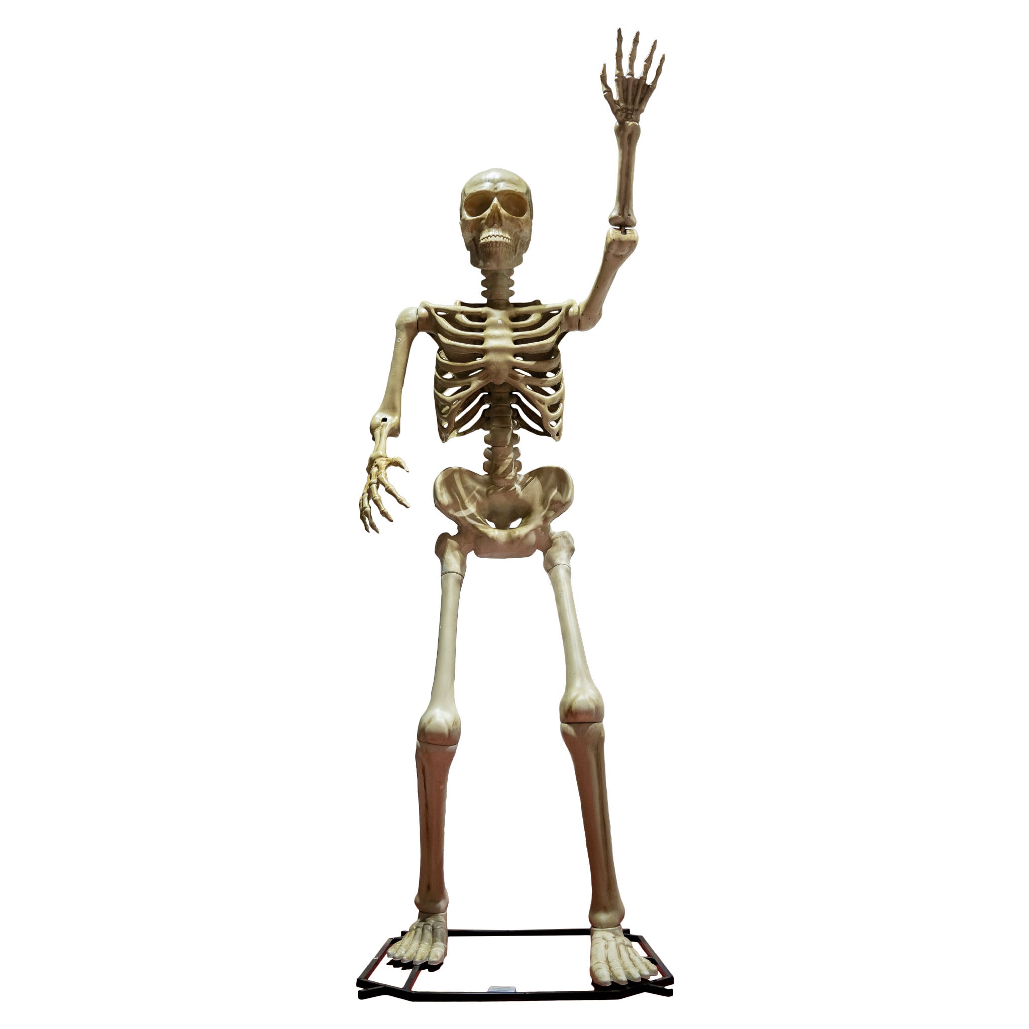 Standing Skeleton 335cm