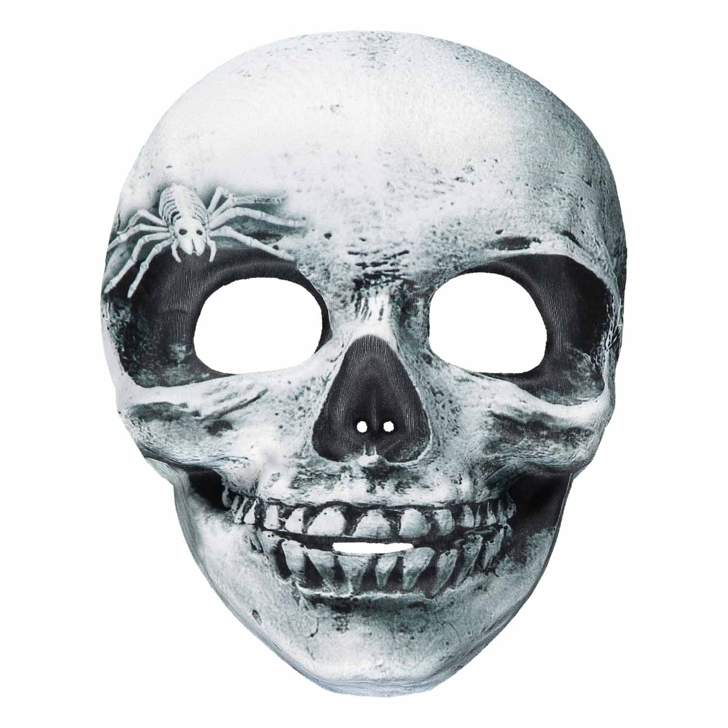 Skull Mask Skeletor