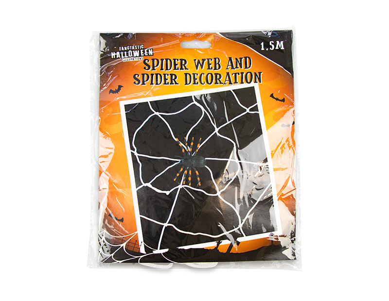 Spider Web & Spider