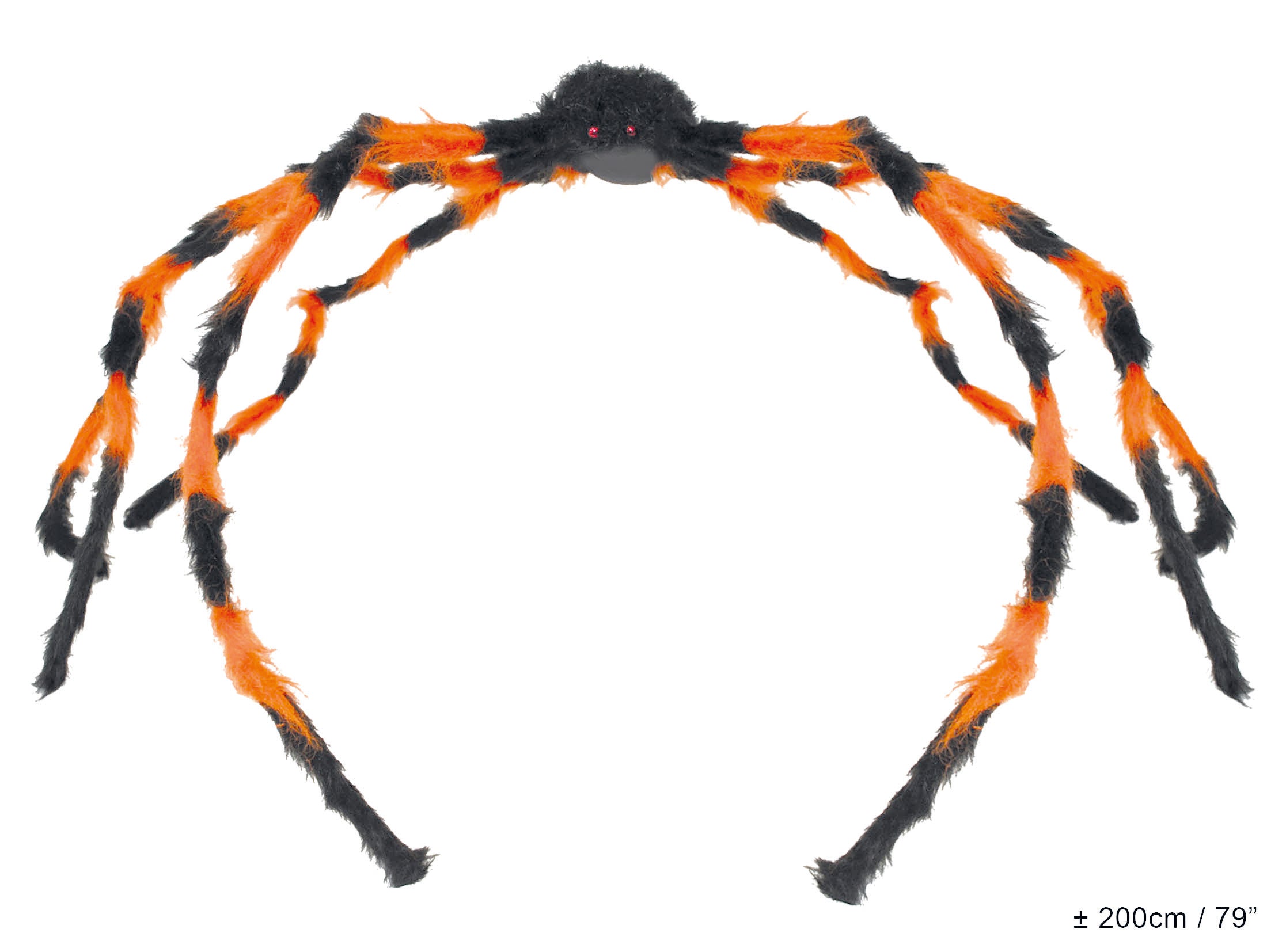 Furry Black and Orange Spider
