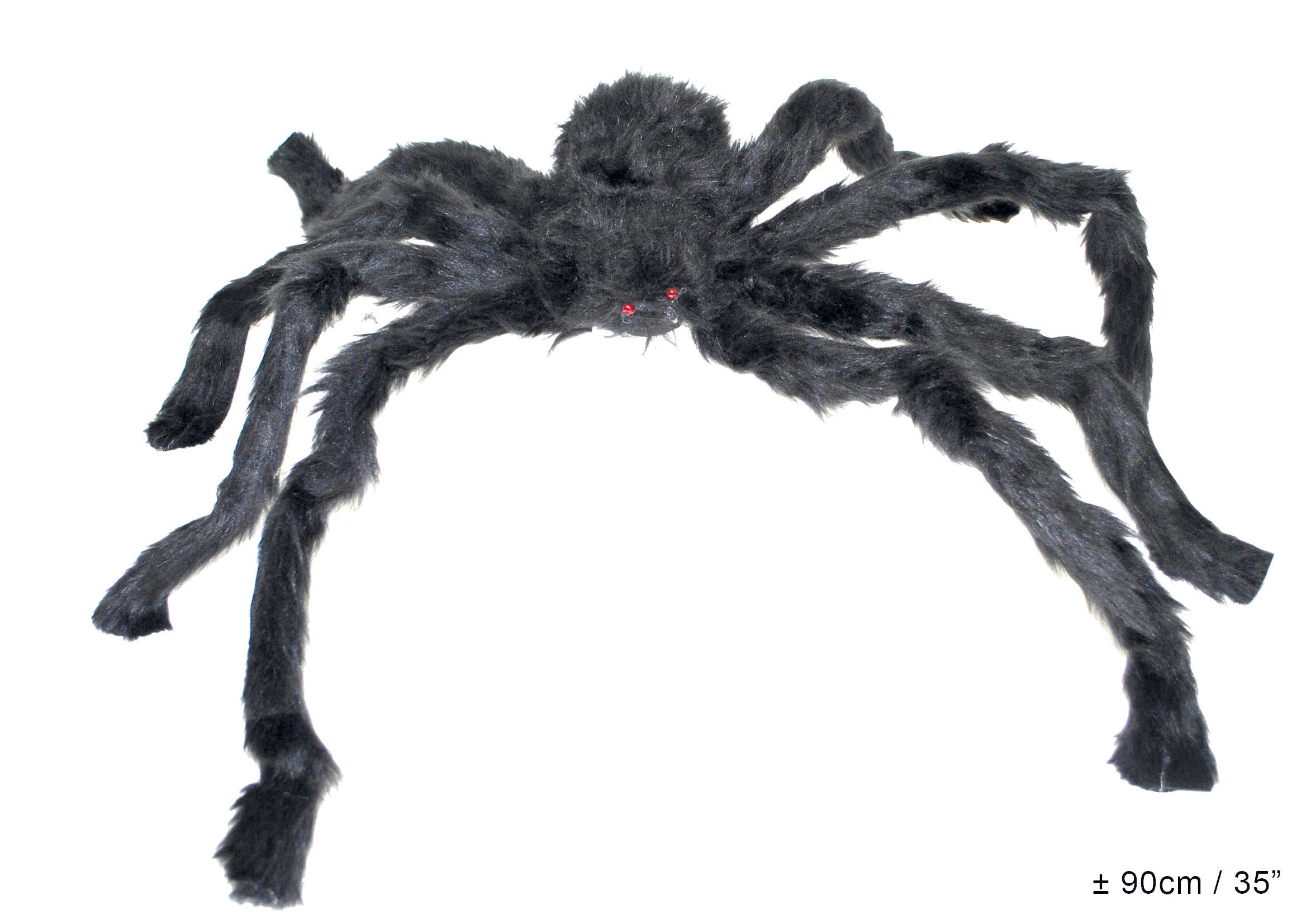 Furry Black Spider