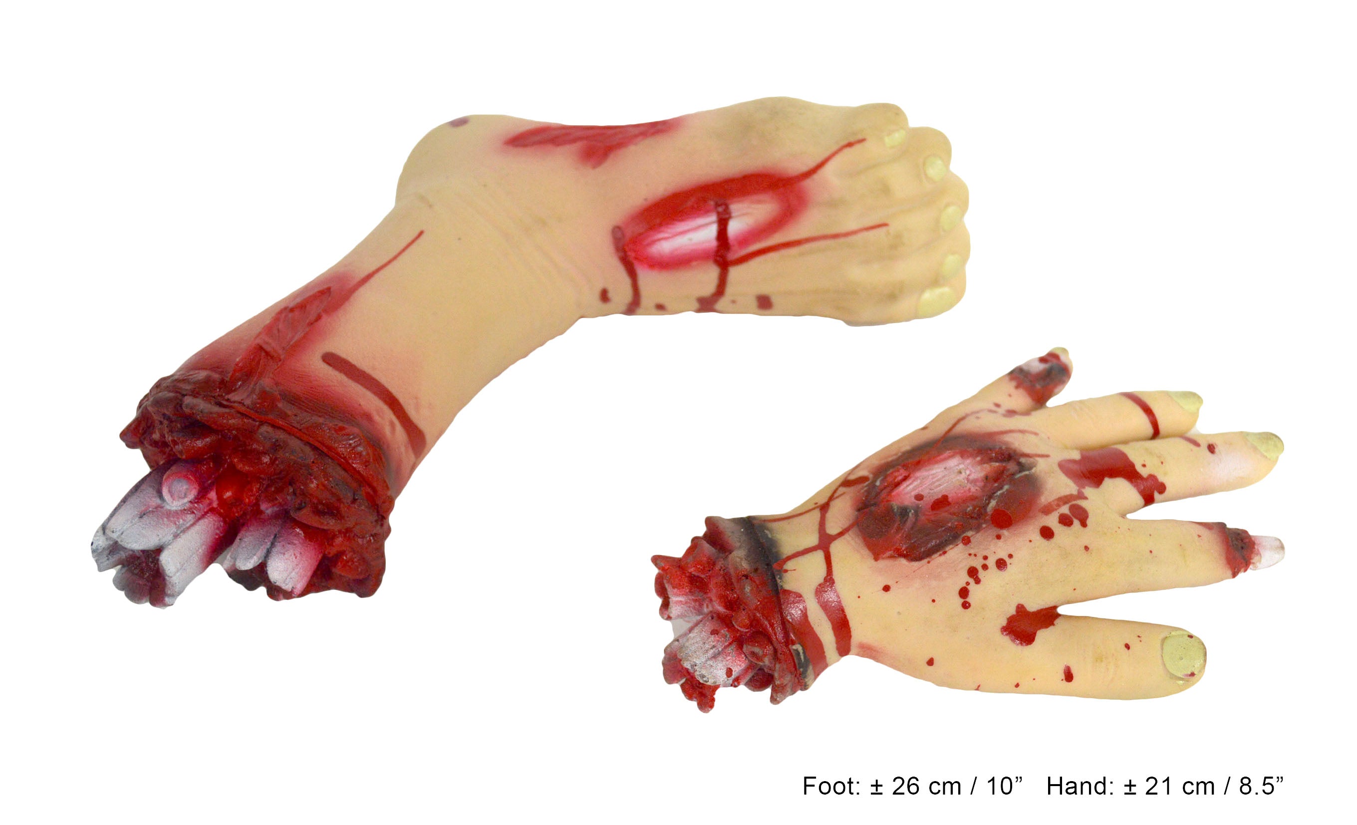 Severed Hand & Foot