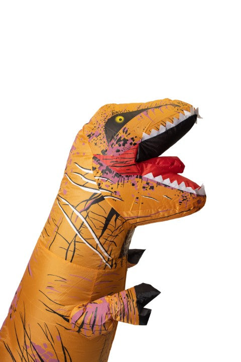 Adults Dino Brown